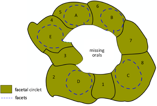 18593.png