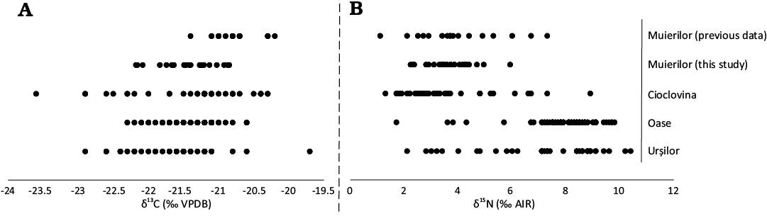 19175.png
